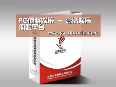 项目名称十三