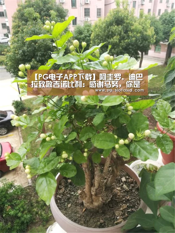 PG电子APP下载