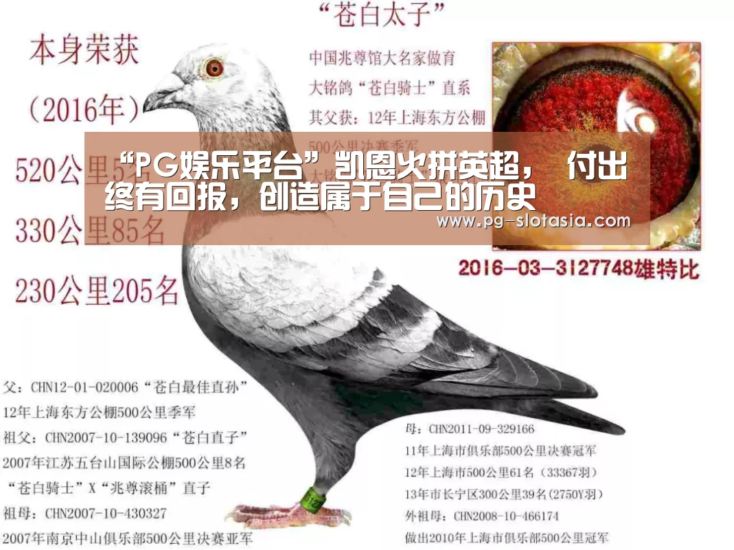“PG娱乐平台”凯恩火拼英超, 付出终有回报,创造属于自己的历史(图3) PG麻将娱乐